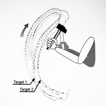 Motorisch leren voor de fysiotherapeut: conceptueel kader en toepassing (BD)