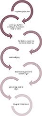 Mindfulness-Based Cognitive Therapy bij een depressieve stoornis