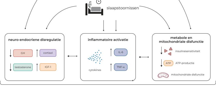 Postoperatieve slaapstoornissen als determinant van postoperatieve vermoeidheid en spierzwakte