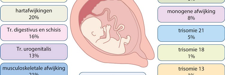  Prenatale screening en prenatale diagnostiek 